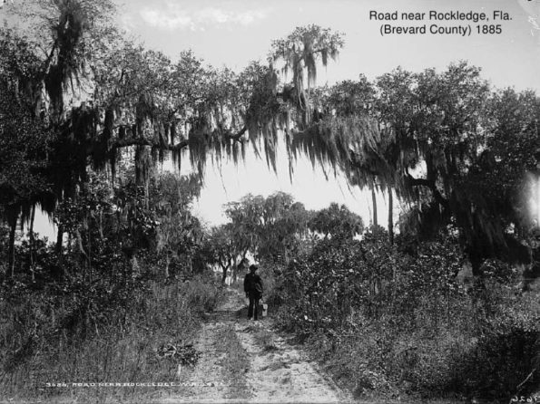 Early_days_in_Florida